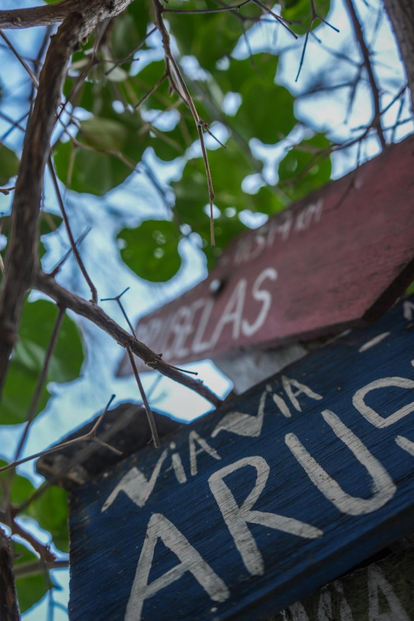 Viavia Bsas Guesthouse 324 Buenos Aires Ngoại thất bức ảnh